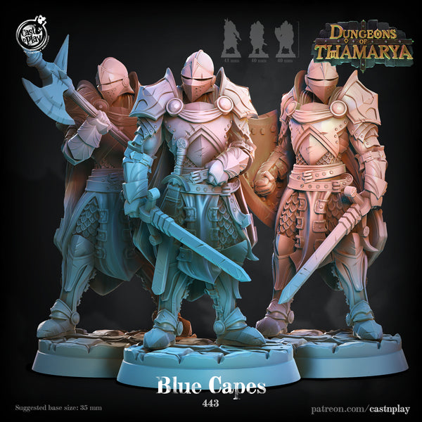 Blue Capes, Cast N Play, Dungeons of Thamarya