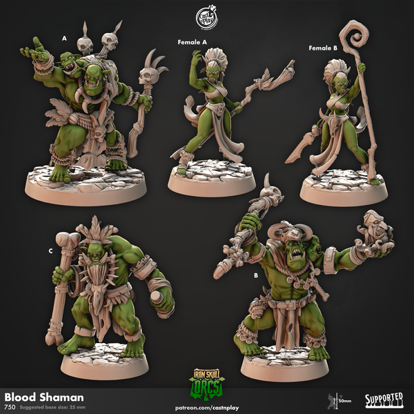 Blood Shamans, Cast N Play, Iron Skull Orcs