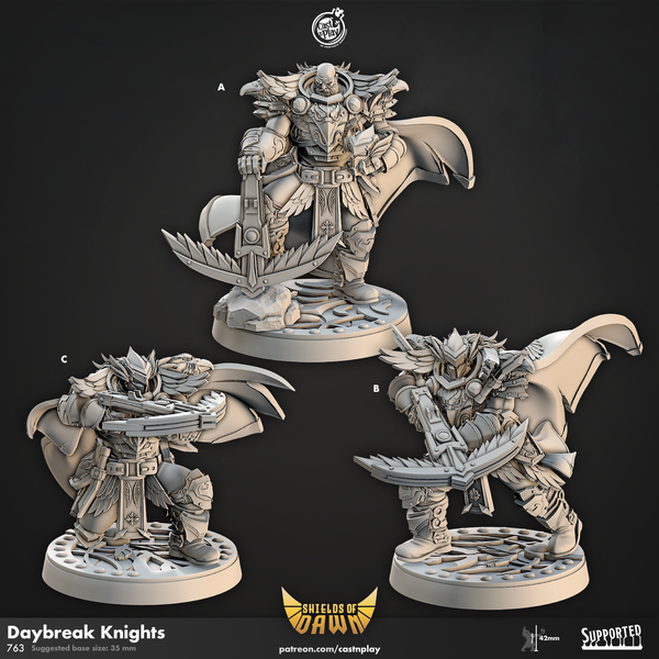Daybreak Knights, Cast N Play, Shields of Dawn