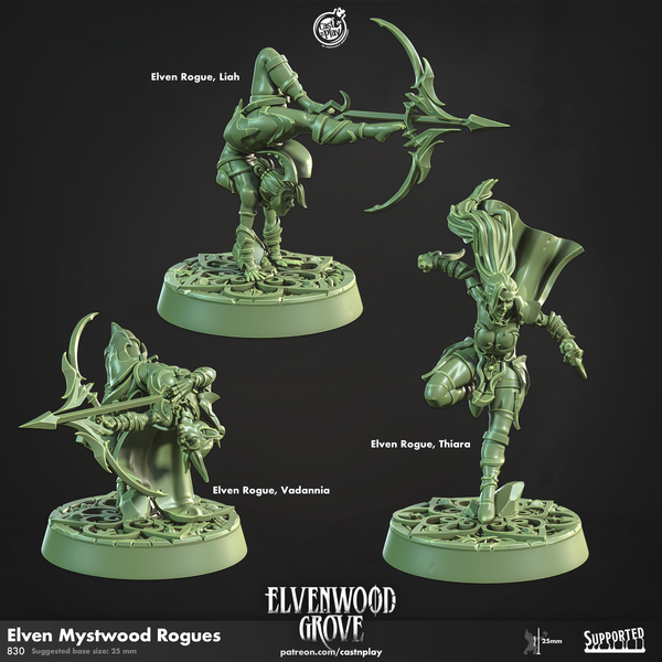 Elven Mystwood Rogues, Cast N Play, Elvenwood Grove
