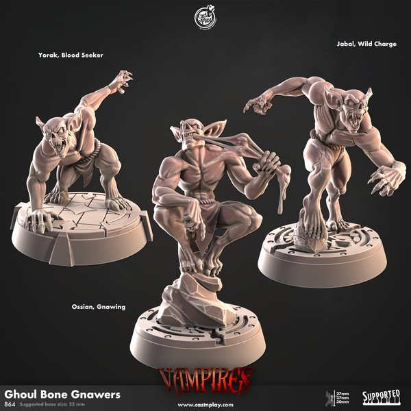 Ghoul Bone Gnawers, Cast N Play, Vampires