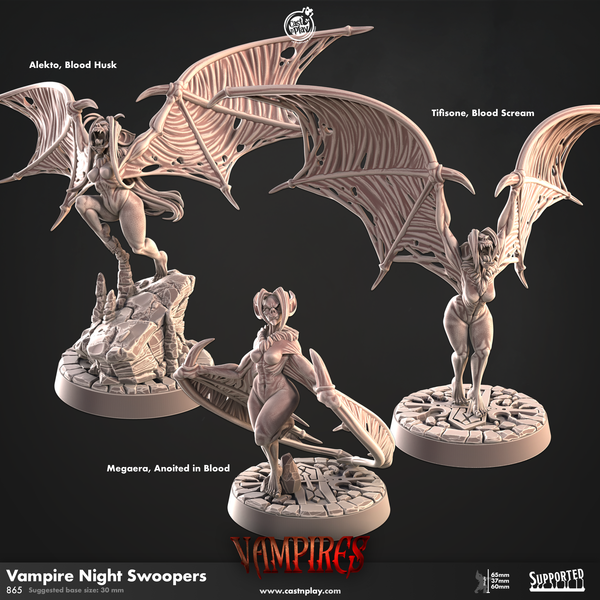 Vampire Night Swoopers, Cast N Play, Vampires