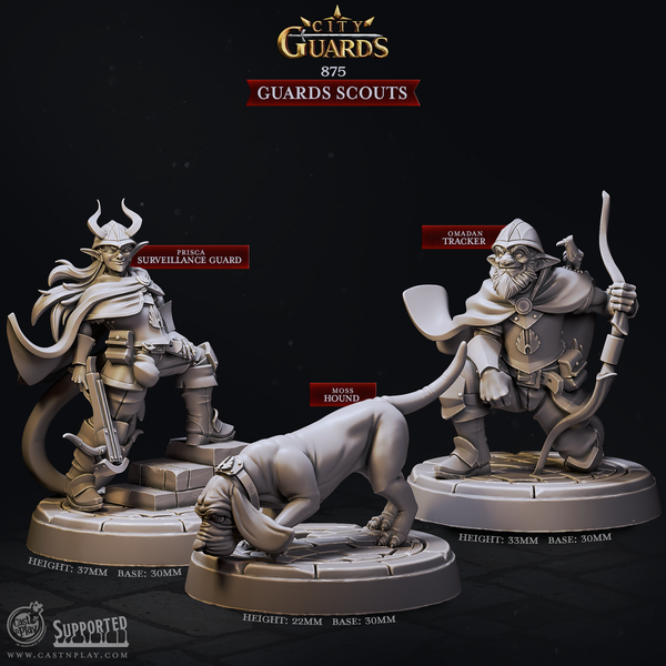 Guards Scouts, Cast N Play, City Guards