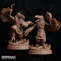 Aaris (Aarakocra/Parrot) Bard