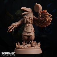 Aaris (Aarakocra/Parrot) Bard