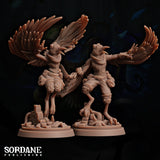 Aaris (Aarakocra/Parrot) Rogue, Sordane Publishing, Moonsoon