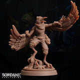 Aaris (Aarakocra/Parrot) Rogue, Sordane Publishing, Moonsoon