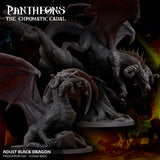 Adult Black Dragon - The Chromatic Cabal