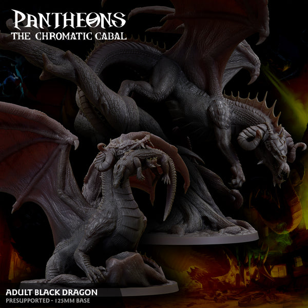 Adult Black Dragon - The Chromatic Cabal