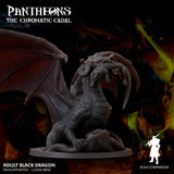 Adult Black Dragon - The Chromatic Cabal