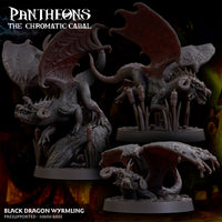 Black Wyrmling - The Chromatic Cabal