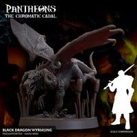 Black Wyrmling - The Chromatic Cabal