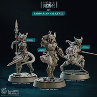 Barbarian Valkyrie, Cast N Play, Northwind Vikings