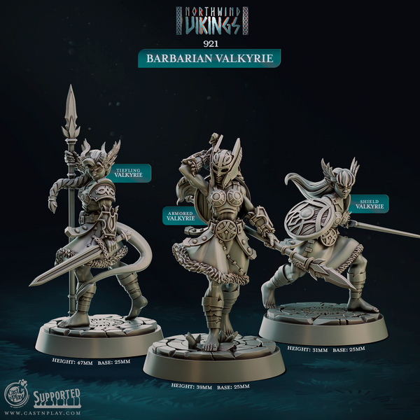 Barbarian Valkyrie, Cast N Play, Northwind Vikings