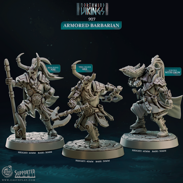 Armored Barbarian, Cast N Play, Northwind Vikings