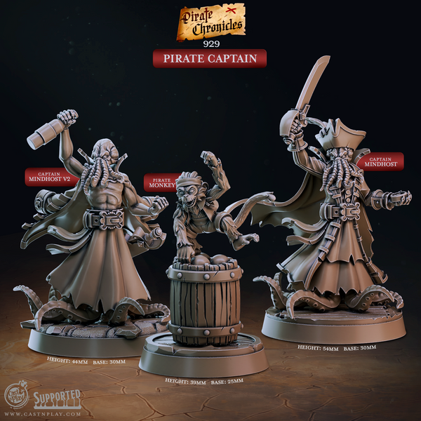 Pirate Captain, Cast N Play, Pirate Chronicles