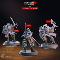 Human Paladin, Cast N Play, Dungeon Guild