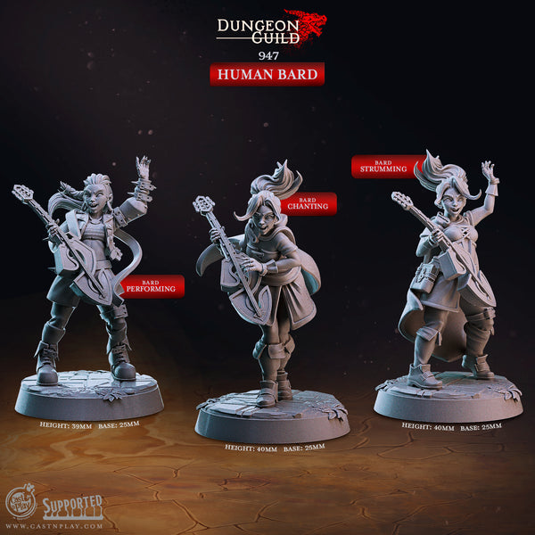 Human Bard, Cast N Play, Dungeon Guild