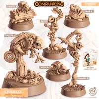 Chameo the Chameleon, Cornelia's Companions, Cast N Play