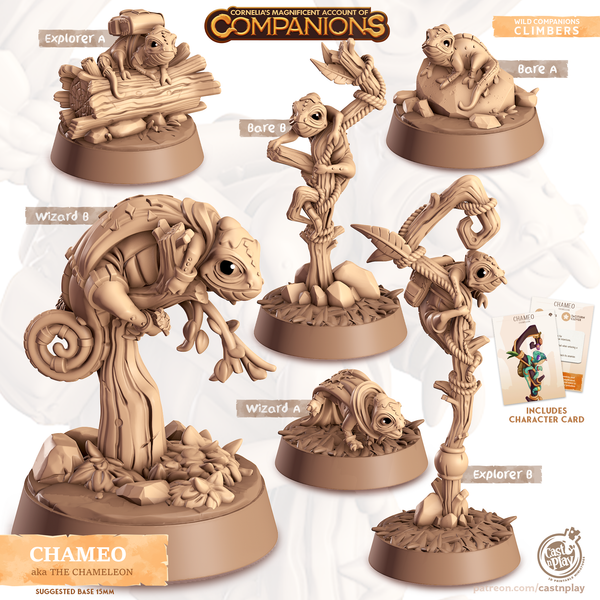Chameo the Chameleon, Cornelia's Companions, Cast N Play