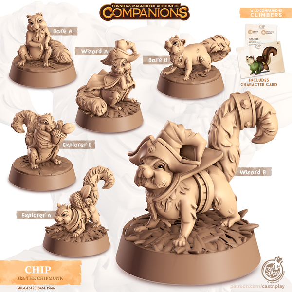 Chip the Chipmunk, Cornelia's Companions, Cast N Play