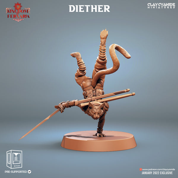 Pangcat Lancer (Diether)