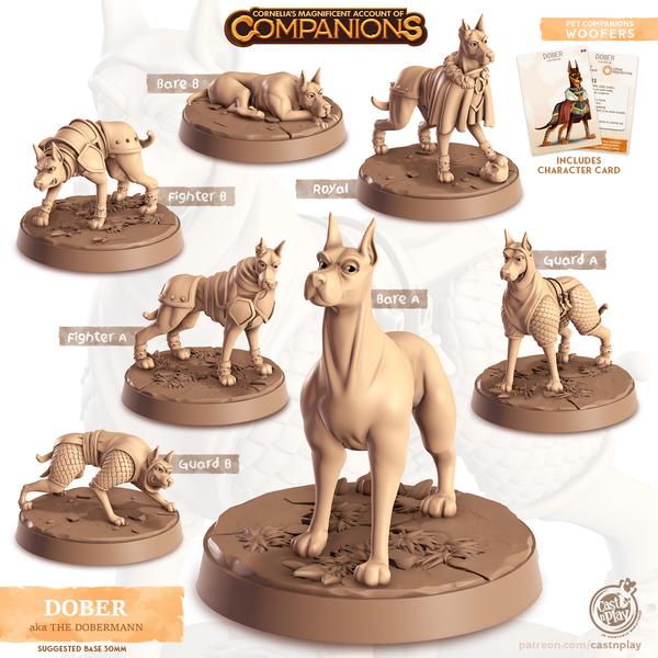 Dober the Dobermann, Cornelia's Companions, Cast N Play