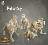 Town Dogs