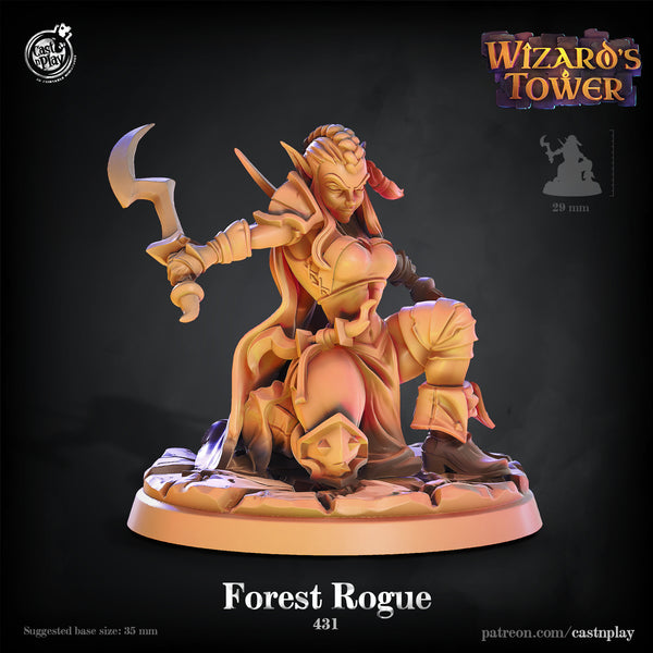 Forest Rogue, Cast N Play, Wizards' Tower