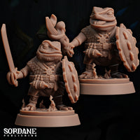 Froin (Frog) Paladin