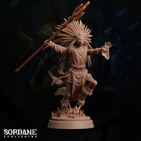 Hystrix (Hedgehog) Monk