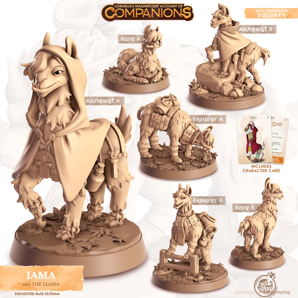 Iama the Llama, Cornelia's Companions, Cast N Play