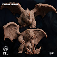Icemane Dragon