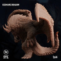 Icemane Dragon