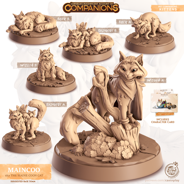 Maincoo the Maincoon Cat, Cornelia's Companions, Cast N Play