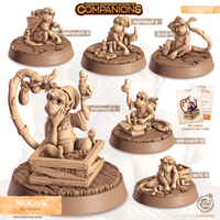 Moonk the Monkey, Cornelia's Companions, Cast N Play
