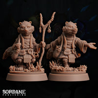 Rathkon (Raccoon) Healer