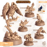 Rav the Raven, Cornelia's Companions, Cast N Play