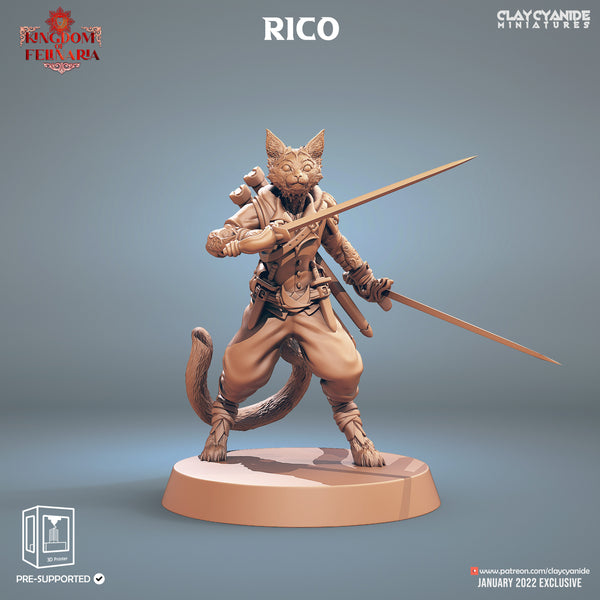 Pangcat Lancer (Rico)