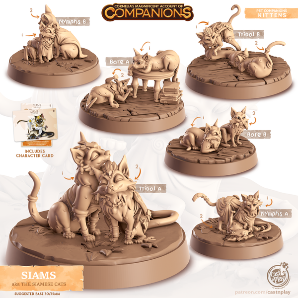 Siams the Siamese Cat, Cornelia's Companions, Cast N Play