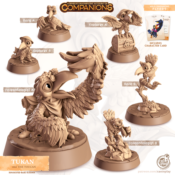 Tukan the Toucan, Cornelia's Companions, Cast N Play