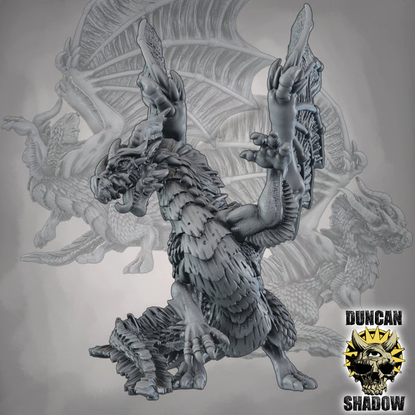 Dragon, Duncan Shadow