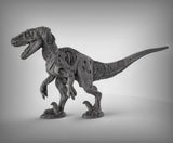 Velociraptor