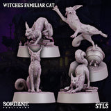 Witches Familiar Cat, Sordane Publishing, The Witches Coven