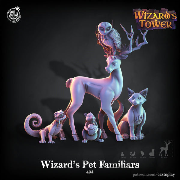 Wizard Pet Familiars, Cast N Play, Wizards' Tower