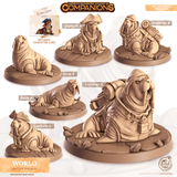 Worlo the Walrus, Cornelia's Companions, Cast N Play