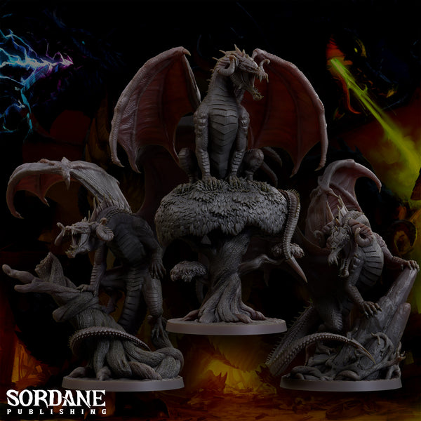 Young Black Dragon, Sordane Publishing, The Chromatic Cabal