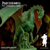 Young Green Dragon - The Chromatic Cabal