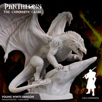Young White Dragon - The Chromatic Cabal