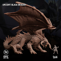 Ancient Black Dragon